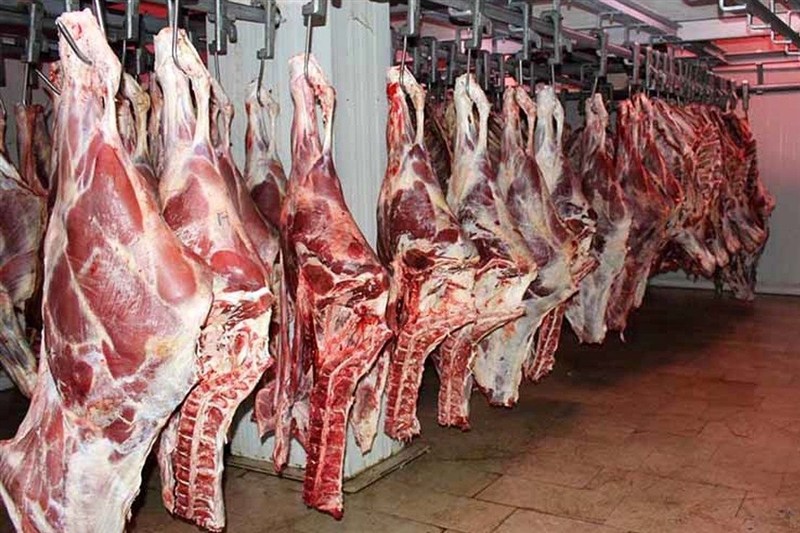 تاکنون مجوز عرضه گوشت اسب و الاغ صادر نشده