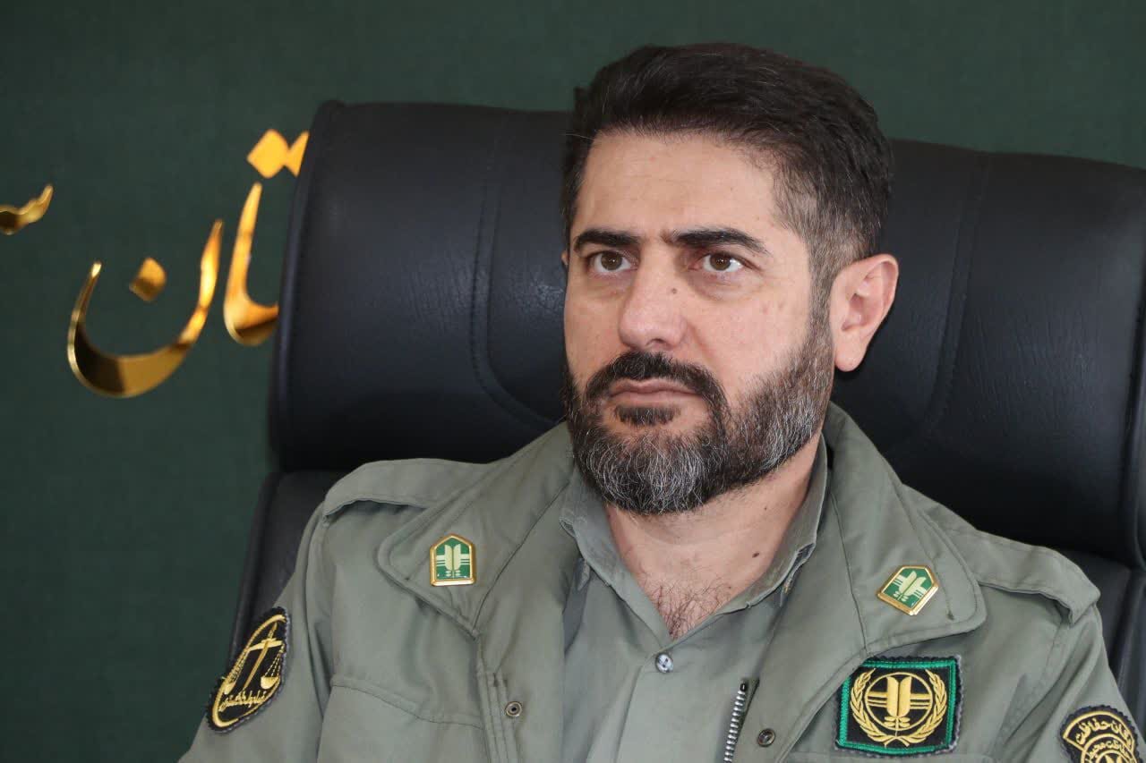 آغاز «گاو بانگی» و فصل عاشقی مرال‌ها در جنگل‌های استان سمنان
